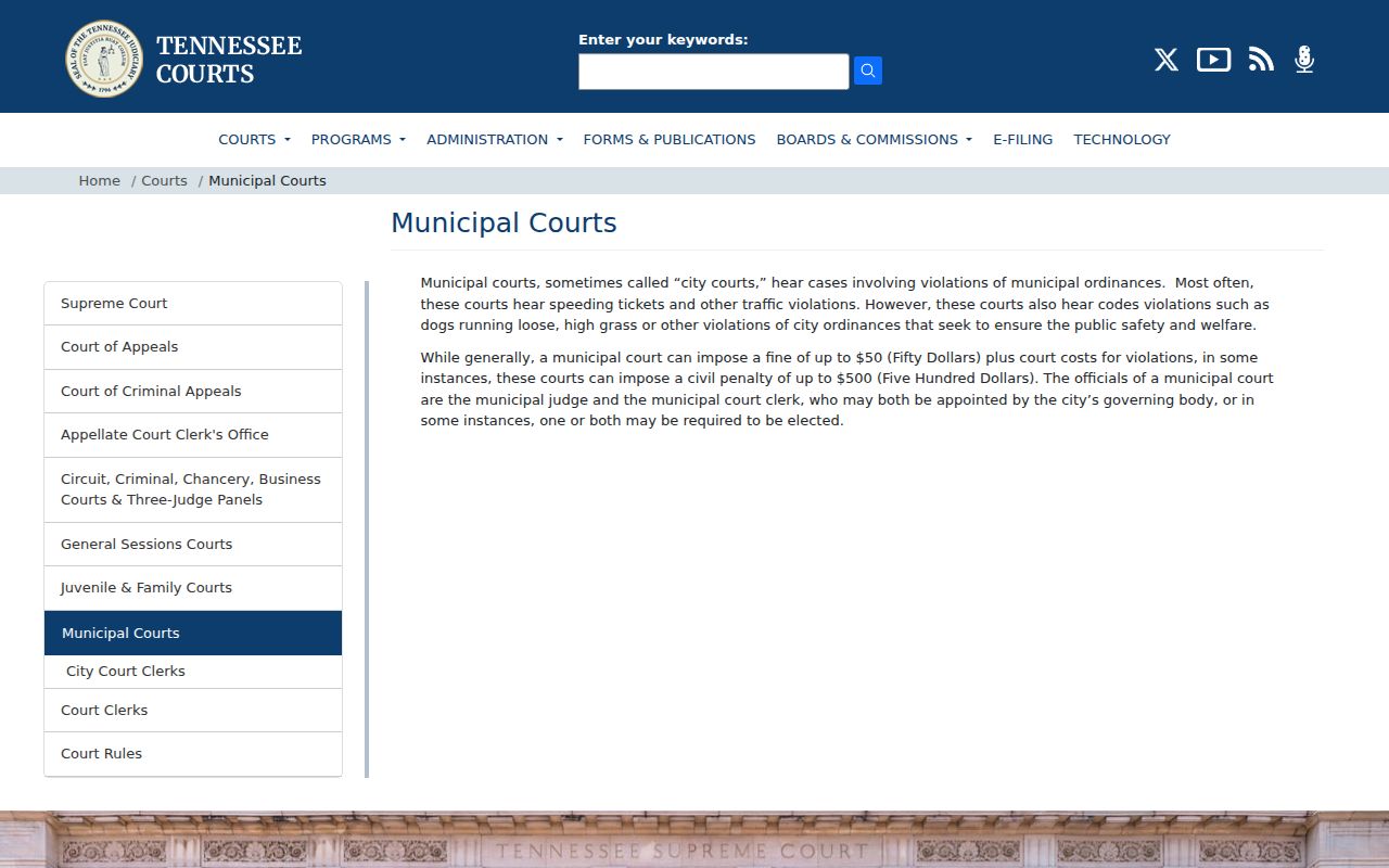 Wayne County traffic court municipal court resource